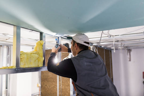 Best Insulation Installation Services in USA